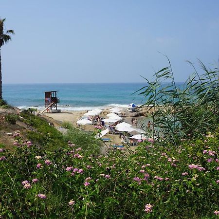 Limnaria Gardens Paphos, near beach Exterior foto